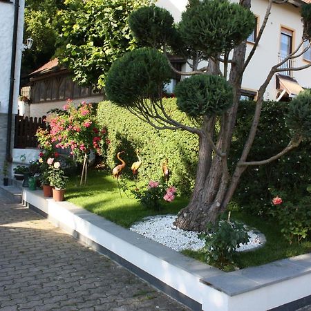 Ferienwohnung Im Gruenen โกสไวน์ชไตน์ ภายนอก รูปภาพ