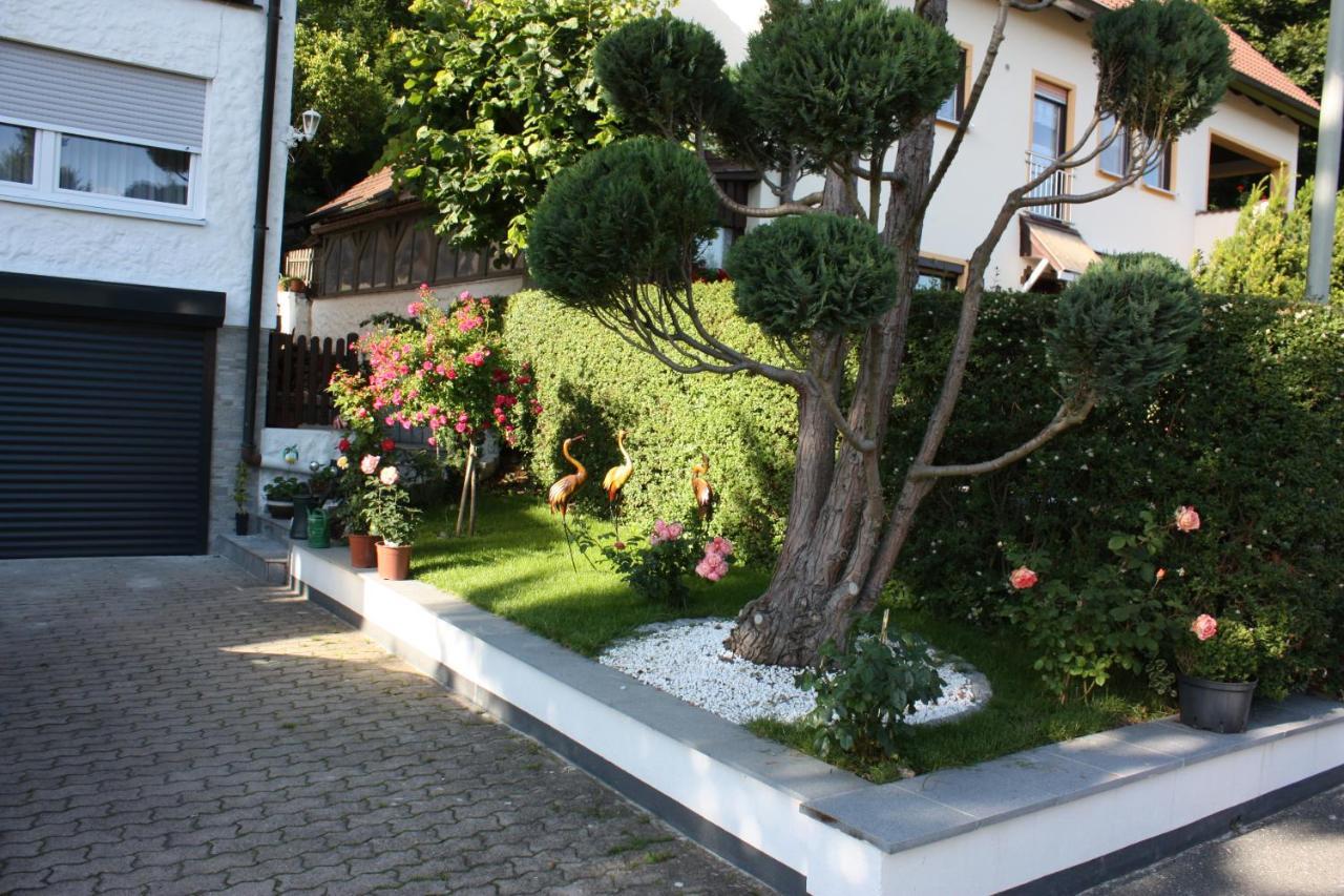 Ferienwohnung Im Gruenen โกสไวน์ชไตน์ ภายนอก รูปภาพ