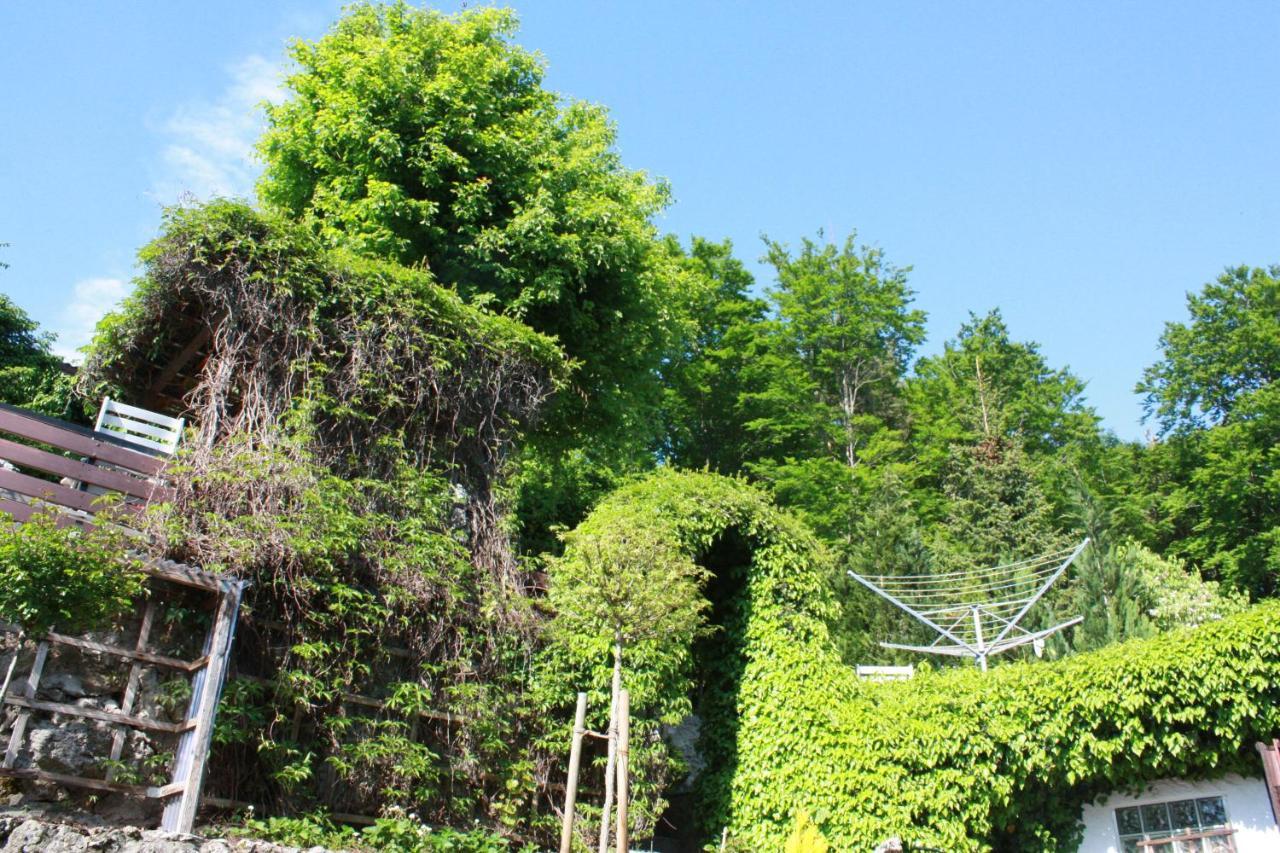 Ferienwohnung Im Gruenen โกสไวน์ชไตน์ ภายนอก รูปภาพ