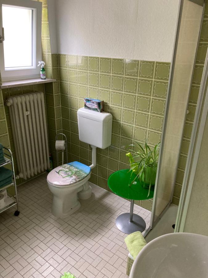 Ferienwohnung Im Gruenen โกสไวน์ชไตน์ ภายนอก รูปภาพ