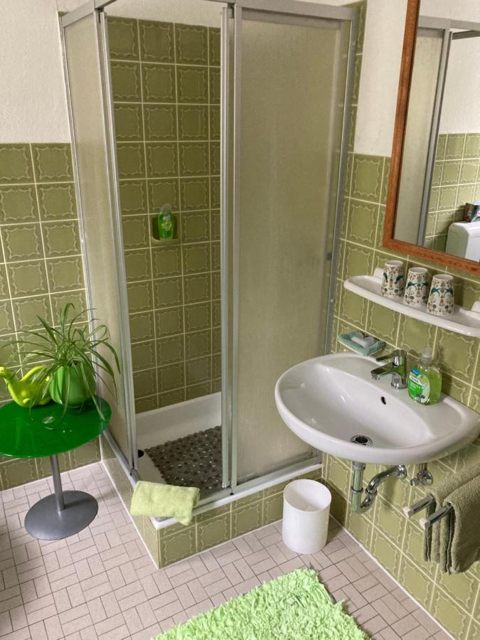 Ferienwohnung Im Gruenen โกสไวน์ชไตน์ ภายนอก รูปภาพ