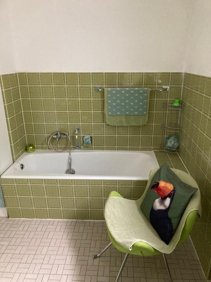 Ferienwohnung Im Gruenen โกสไวน์ชไตน์ ภายนอก รูปภาพ